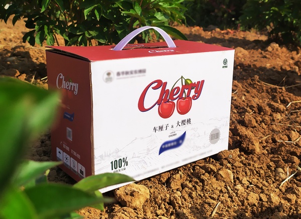 櫻桃、車厘子禮盒